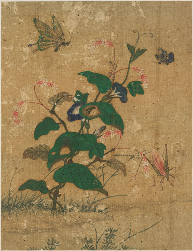 Morning Glories Butterflies And Grasshopper Korean Folk Art