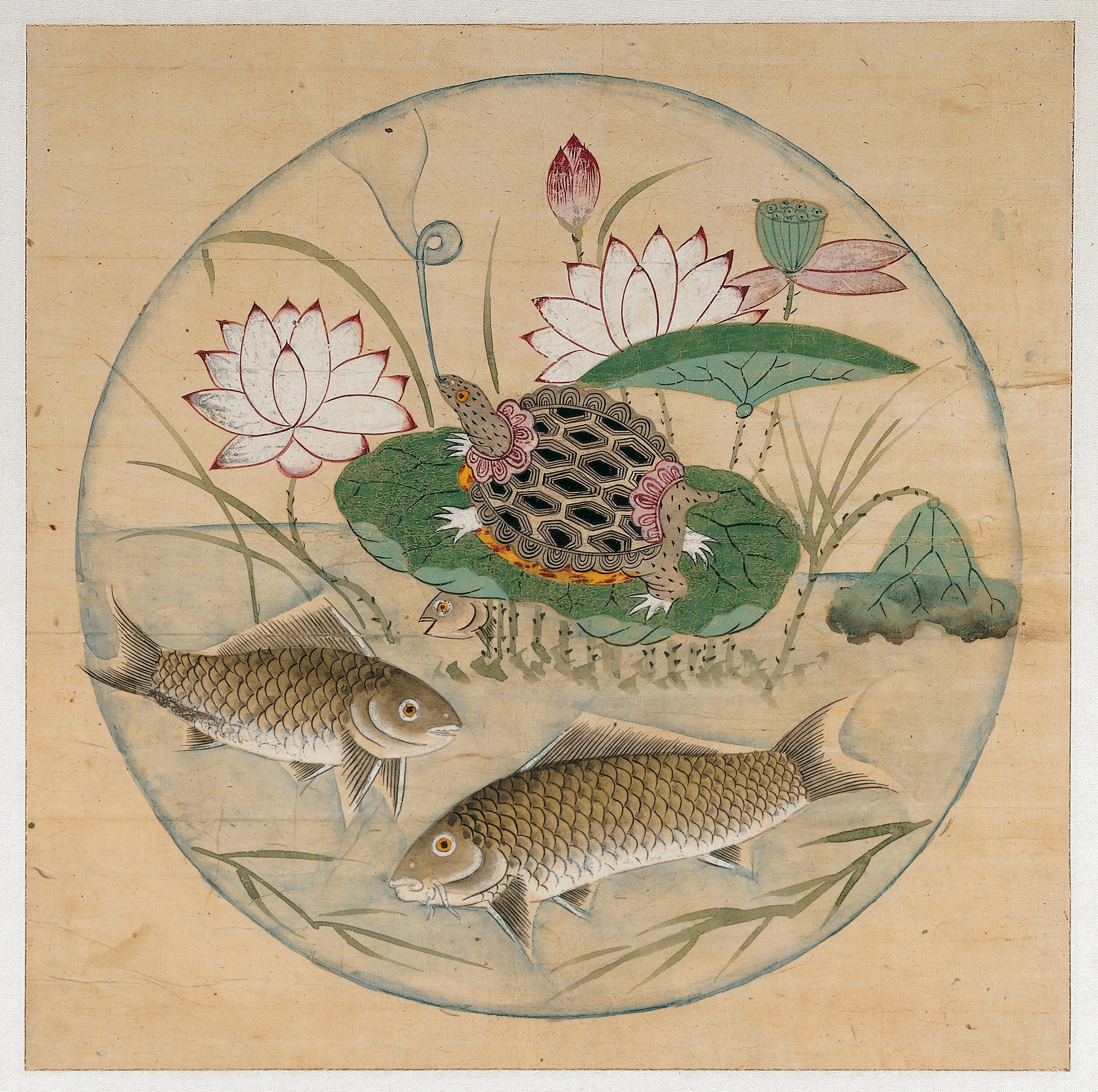 Lotus and Fish in Rondel